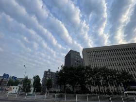 今晨北京天空出现条状云 排列整齐仿佛一条条飘带