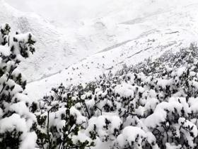 冷感拉满 青海兴海县7月飞雪
