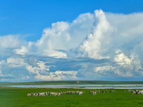 夏日的呼伦贝尔草原 藏着最治愈的蓝天白云