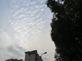 北京天空现鱼鳞云 朵朵白云排列整齐