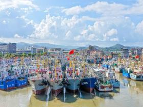 台风“白海豚”来临前夕 浙江玉环渔船回港避风