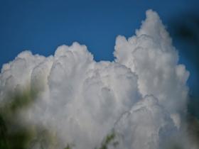 今日份天空“显眼包” 北京浓积云强势抢镜