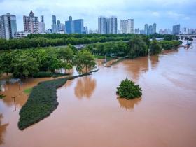 郁江南宁段水位上涨 旅游码头和亲水步道被淹
