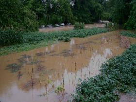 江西永新降雨 部分沿河作物被淹