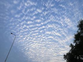 白露清晨北京天空现鱼鳞云 透着明净与从容