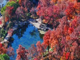 赴一场秋日之约！一组图带你看祖国斑斓秋景