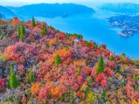重阳节：赏秋正当时 邂逅一场五彩斑斓