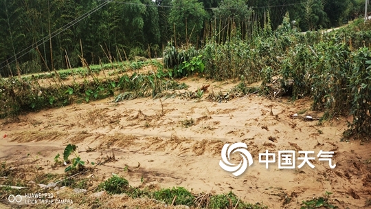 福建永安：永安市出现持续强降雨天气  沙溪河水位持续上涨