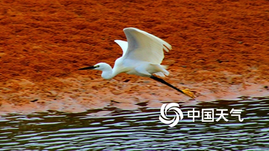 福建漳州白鹭公园的惬意时光