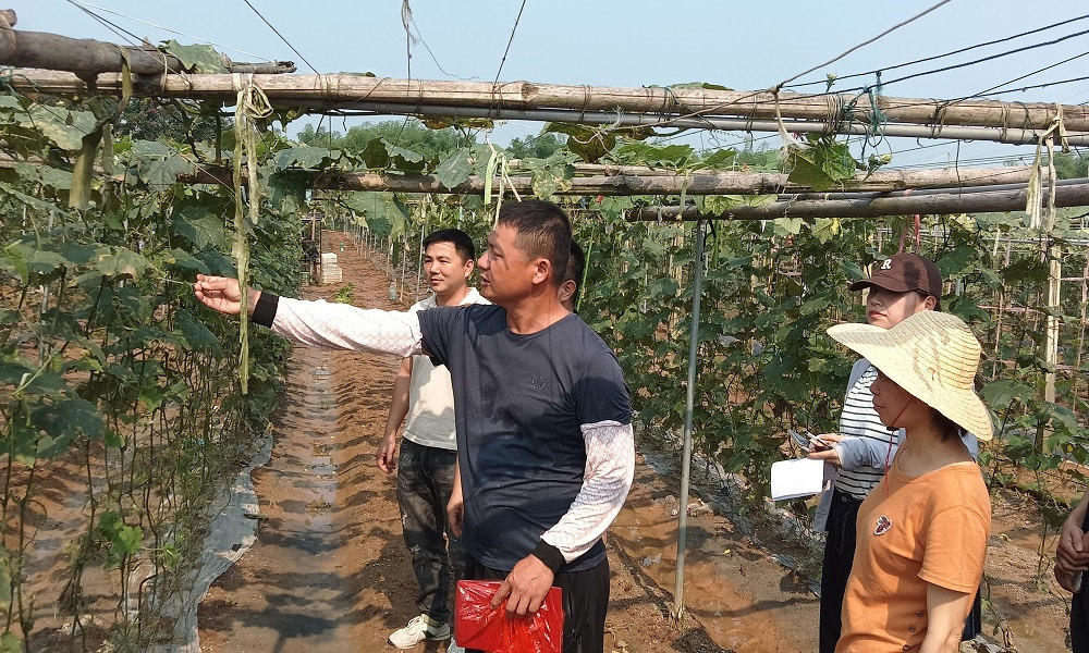  Long Wen: Departments jointly carry out agricultural disaster investigation