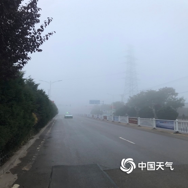 渭源:受冷空气过境影响出现浓雾-高清图集-中国天气网