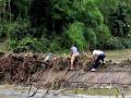 5日洪水稍退，村民小心翼翼地正在通过残破的吊桥。（摄影：蒋小芳）