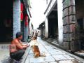 古镇青石板老街上，闲暇的居民正和一只牧羊犬逗趣。（摄影：张存立）