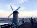 日夜守候在海滩边的风车，与大海构成别样风光（摄影：唐晓珊）
