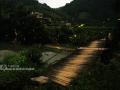萤火虫活跃在新化镇乐翁村的吊桥上。（摄影：黄招然）