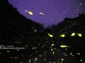 同乐镇交打湾，星空下的萤火世界。（摄影：黄招然）