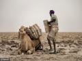 埃塞俄比亚盐矿工60度高温下辛苦劳作
