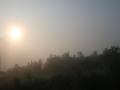 阳光变得雾蒙蒙
