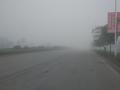 马路上雾朦朦一片（摄影：唐昌秀）