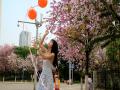 市民借紫荆花之美为艺术照增色（摄影：任乐）
