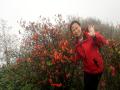 与杜鹃花合影的游客（摄影：李向红）