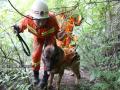 消防官兵携带搜救犬搜寻被困人员。广西新闻网通讯员李苑君 陈华秀供图