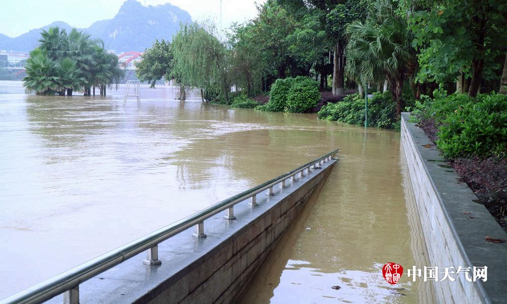 柳州宜州强降雨水位涨-广西高清图片-中国天气网