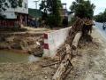 被冲毁到路上的树木，只能逐步清理（摄影：赵祖华）