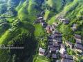 从高空俯瞰，梯田、吊脚楼、山间小溪等交相辉映，编织成一幅生态乡村美景图。（摄影：潘志祥）