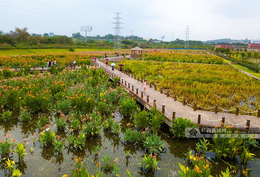 航拍南宁那考河湿地公园(1/10)