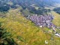 10月20日，无人机航拍的三江侗族自治县良口乡和里村稻田