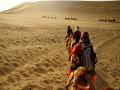 沙漠中的骆驼队（摄影：朱秋宇）