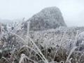8日早上，柳州三江白云山上冰雪覆盖。（摄影：周林）