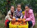小朋友捧着丰收的果实喜笑颜开（摄影：莫海清）