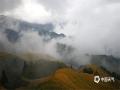 中国天气网广西站讯 10月9日，受冷空气影响，广西龙胜龙脊梯田出现降温降雨天气，沿着“梯田”直上的潮湿气流爬升到一定高度时，水汽自然凝结于成熟的稻浪之间，呈现出云雾缭绕的奇特景象，宛如仙境一般。（文/伍钊 图/吴星星）