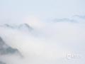 中国天气网讯 广西百色隆林县地处桂西北部桂滇黔三省（区）交界处，受复杂地形地貌影响，一年四季气候多变，气温差异大，空气湿润，山区清晨常常云雾弥漫山间，景色迷人。今天（2月28日），隆林持续阴雨天气结束，久违的阳光露出笑脸。清晨新州至隆或的高山间云雾缭绕，村庄、山川、树木、山花在云雾中时隐时现。（图文/尹华军）