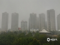 中国天气网广西站讯 3月26日早晨，来宾市区出现平流雾，并伴有分散小雨。雨雾天气，不仅路面湿滑，能见度也降低，给交通出行带来了不便。（图/吴泽 文/杨健）