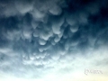 中国天气网广西站讯 今天下午，在广西民族大学上空出现少见的乳状云。乳状云一般是有积雨云才出现，当冷暖气团交汇，便会形成一团团如棉花糖般的乳状云。（文/郁海蓉  图/陈设广）