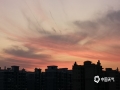 中国天气网广西站讯 9月23日，正值秋分节气，傍晚时分，来宾天空出现美轮美奂的晚霞，绚美如画。（图/苏庆红 文/韦菊）