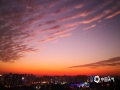 中国天气网广西站讯 12月4日傍晚，来宾市上空的晚霞迷人，云朵一会儿排列整齐，一会儿又像团团棉花，天空的色彩也是精彩纷呈，变化多样，吸引了不少市民驻足拍照。（图/黄乔婧 文/苏庆红）