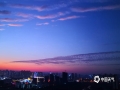 中国天气网广西站讯 12月4日傍晚，来宾市上空的晚霞迷人，云朵一会儿排列整齐，一会儿又像团团棉花，天空的色彩也是精彩纷呈，变化多样，吸引了不少市民驻足拍照。（图/黄乔婧 文/苏庆红）
