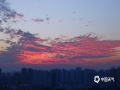中国天气网广西站讯 12月8日，来宾出现艳丽的“火烧云”美景，天空的云在夕阳的映照下变得色彩斑斓，极其好看！（图/黄乔靖 文/苏庆红）​
