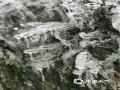 中国天气网广西站讯 1月13日，湖南衡山，银装素裹，树木被晶莹剔透的冰包裹着。走到山顶，在祝融峰上还可以观云海，游人欢喜不已。（图文/苏庆红）