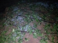 2月13日23时左右，强对流袭击广西，梧州市苍梧县六堡、狮寨等地出现冰雹天气，网友拍下了冰雹过后的现场图。