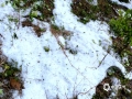 中国天气网广西站讯  10日下午，百色西林古障镇和西平乡遭遇冰雹袭击，冰雹持续约8分钟，地面就白了，远远望去好像刚刚下了一场小雪。 （图/李浩鑫 文/莫保结）