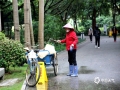 中国天气网广西站讯 一股“实力派”冷空气控制广西，22日起南宁雨水频扰，今天上午南宁城区雨水停停下下，市民朋友抓住降雨停歇的空档外出活动。（文/郁海蓉）