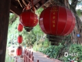 中國(guó)天氣網(wǎng)廣西站訊 初夏時(shí)節(jié)，廣西蒙山縣長(zhǎng)坪瑤族自治鄉(xiāng)綠樹(shù)蔥蘢，溪水清洌，氣溫適宜，靜謐怡人，是一個(gè)放松身心，回歸自然的好去處。（文/鄧碧娜 圖/藍(lán)丹丹）