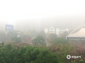 中国天气网广西站讯 5月19日早晨，来宾市出现大雾天气，城区的楼宇间大雾弥漫，犹如仙境。来宾市气象台发布了大雾黄色预警信号，提醒广大市民出行的朋友注意出行安全。(图文/吴泽)