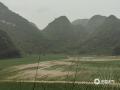 图为百色平果海城拥齐村大片玉米地被淹。（图/何翔）