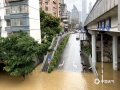 中国天气网广西站讯 受持续强降雨和上游来水影响，6月6日4时30分，柳江柳州水文站出现洪峰水位82.93米，超警戒水位0.43米，这是今年以来柳江市区水位首次超警。导致沿江的滨江西路、柳江路、金沙角、西堤路一带全部被淹，沿江商铺全部被河水浸泡，目前水位正缓慢回落。图为：道路实行交通管制，车辆不能通行（图文/李宜爽）